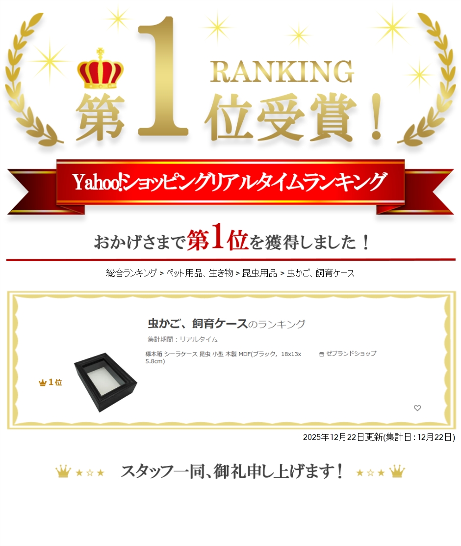 標本箱のおすすめ人気商品一覧 通販 - Yahoo!ショッピング