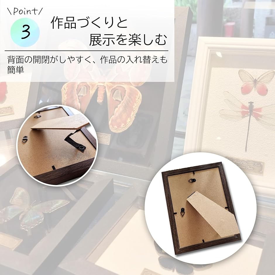 標本箱 ガラス フレーム A4 昆虫 標本ケース シーラケース