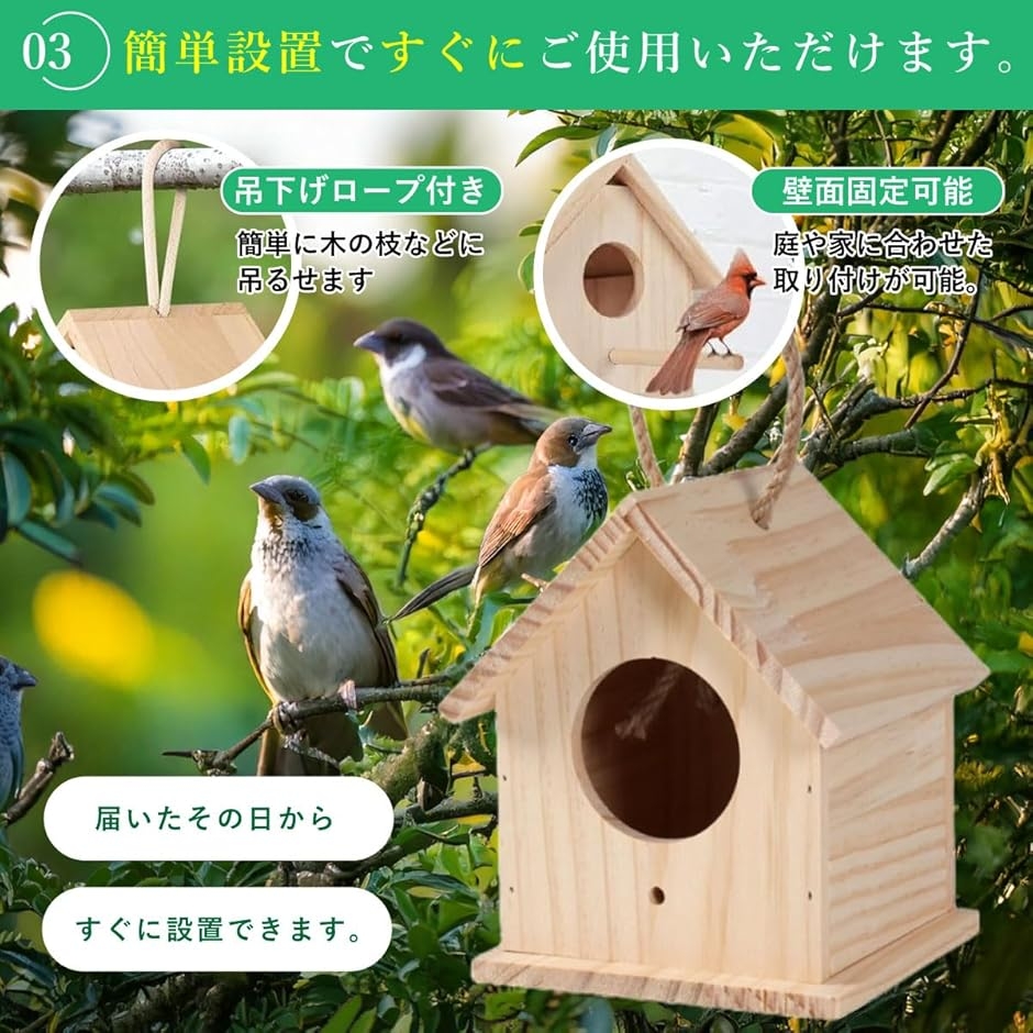 鳥かご 鳥の巣 巣箱 鳥小屋 屋外 アクリル バードハウス 野鳥 観察