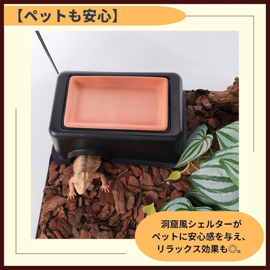 爬虫類 レオパ トカゲ カナヘビ シェルター スドー ウェットシェルター