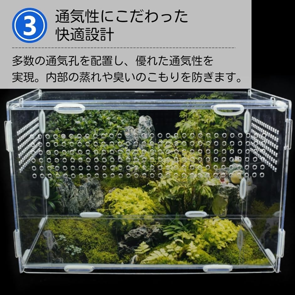 爬虫類 ケージ 飼育ケース 水槽 レプタイル 飼育セット カナヘビ