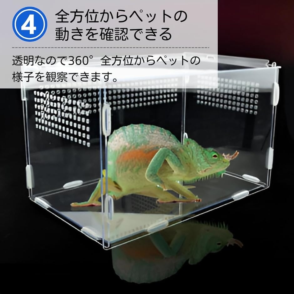 爬虫類 ケージ 飼育ケース 水槽 レプタイル 飼育セット カナヘビ