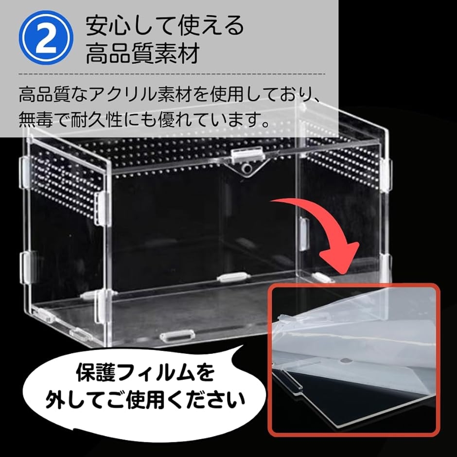 爬虫類 ケージ 飼育ケース 水槽 レプタイル 飼育セット カナヘビ