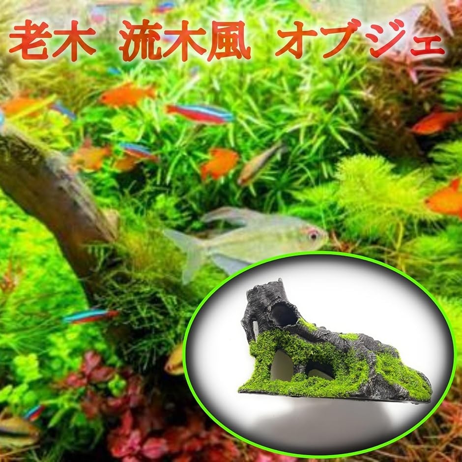 老木 流木 風 アクアリウム オブジェ 魚の隠れ家 水槽 装飾 木の根