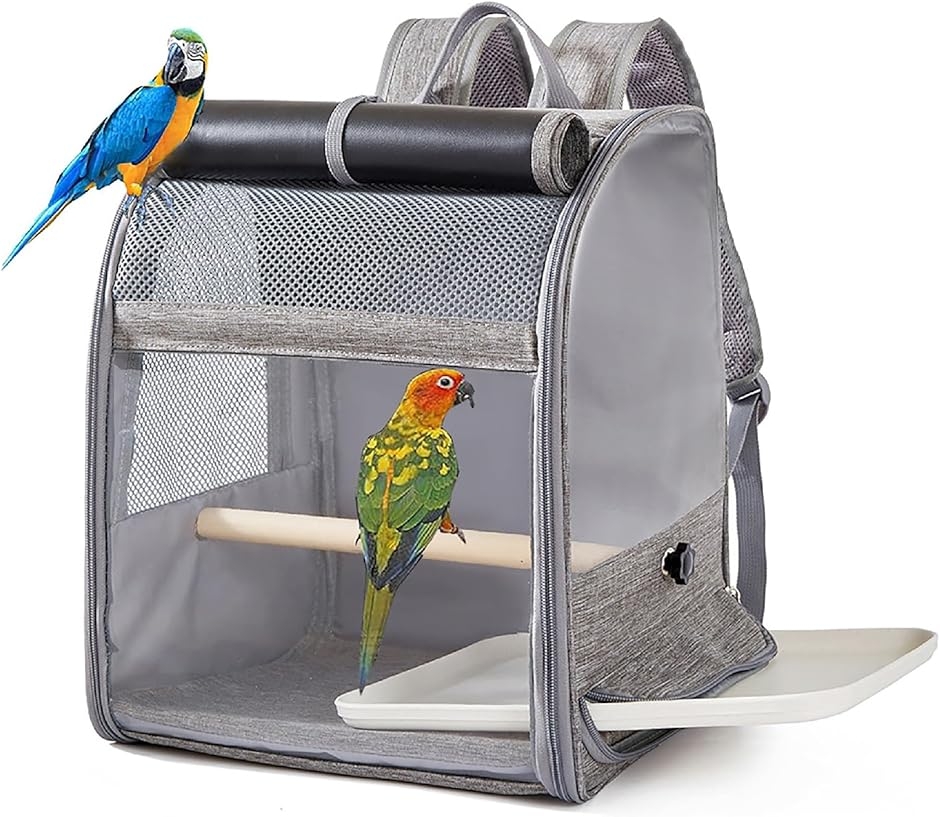インコリュック」の人気商品一覧 | 安い商品を通販サイトから探す