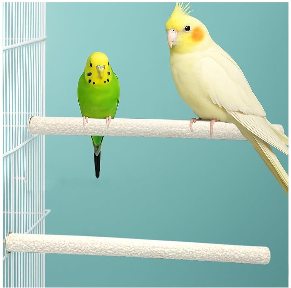 バードトイ 鳥のおもちゃ フォージングトイ インコ用知育玩具 訓練玩具