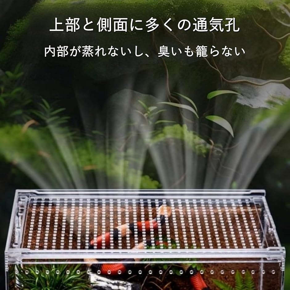 爬虫類 ケージ シェルター アクリル製 トカゲ 蛇 サソリ 飼育 ボックス
