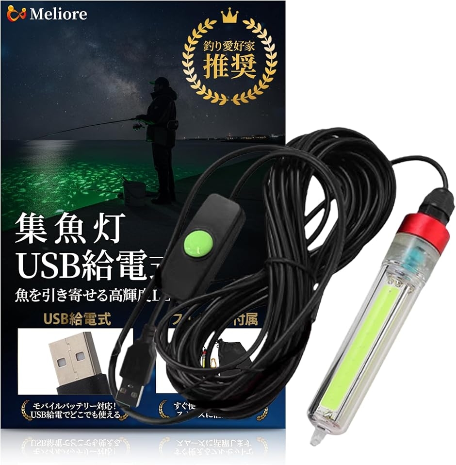 集魚灯　2本価格　イカ釣り電気　ハイクリーンランプ　500W BAKUSHIN 強力 電池式 集魚灯 爆深 グリーン 緑 イカ釣り 高輝度 集魚