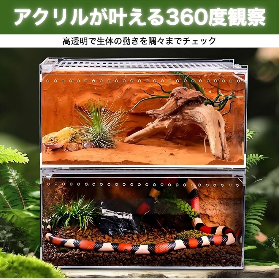 爬虫類 ケージ ボックス 飼育 ケース アクリ...の詳細画像2