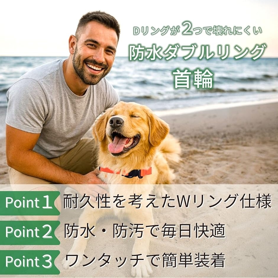 犬 首輪 ダブルリング 首周り42〜63cm 幅2.5cm 中型犬 大型犬 (ブルー
