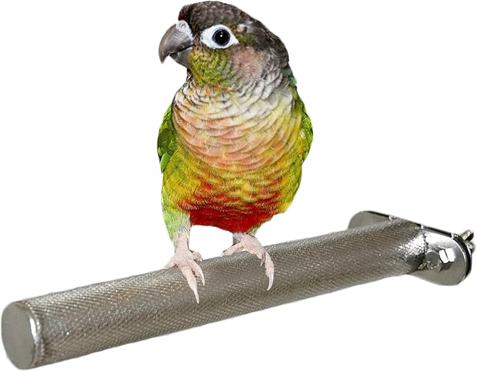 インコ おもちゃ 止まり木 バードアスレチック 鳥 遊び場 文鳥 置き型