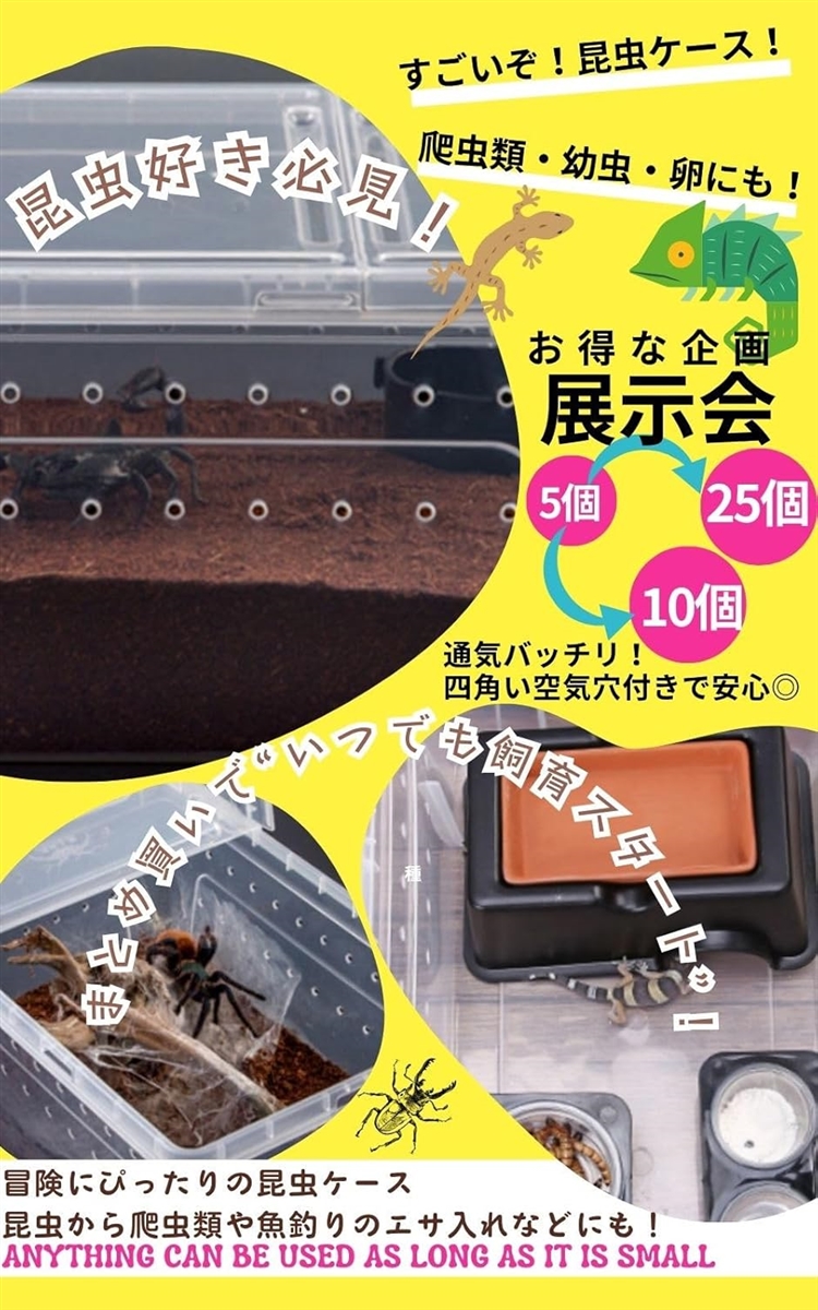 昆虫飼育ケース 小型 コンテナ ボックス 空気穴付き 小動物・卵 幼虫