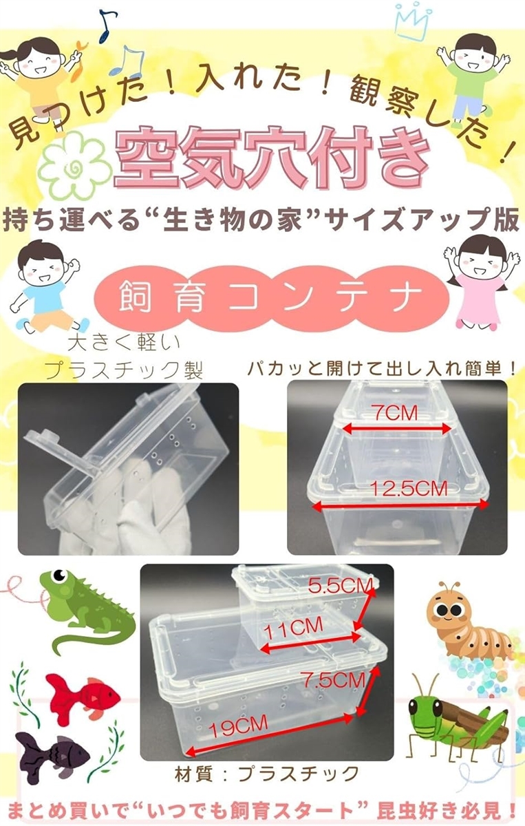 昆虫飼育ケース 小型 コンテナ ボックス 空気穴付き 小動物・卵 幼虫