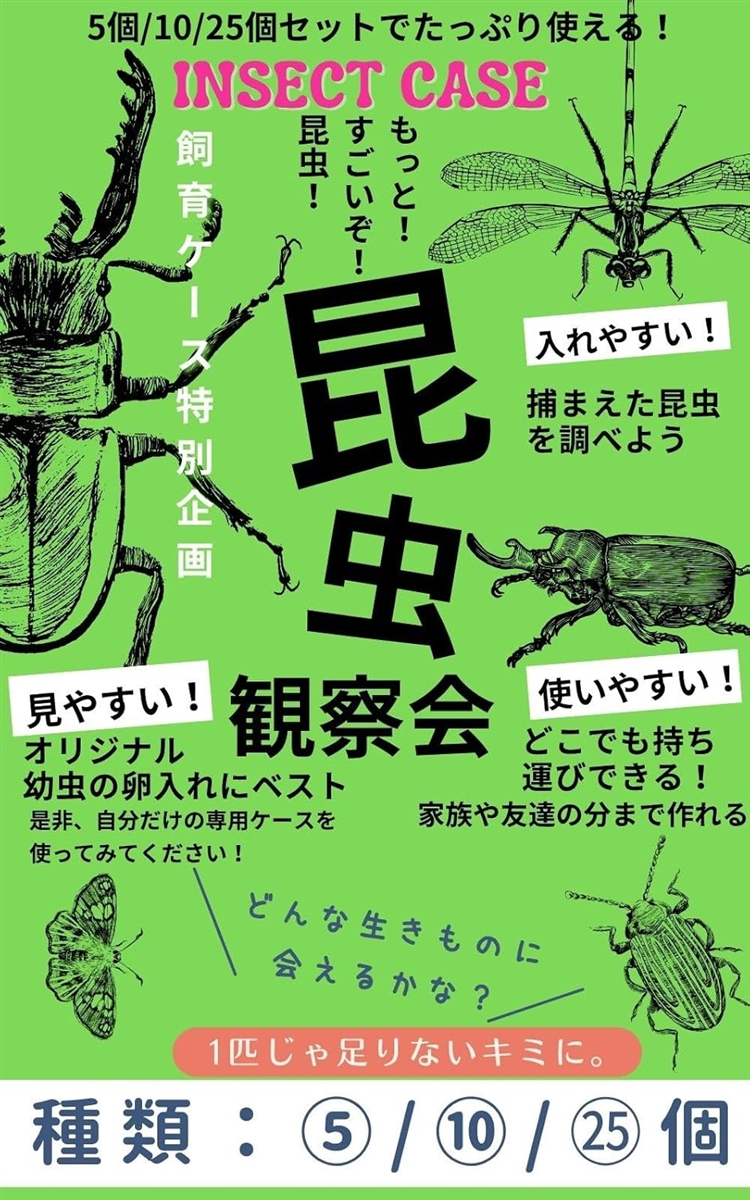 昆虫飼育ケース 小型 コンテナ ボックス 空気穴付き 小動物・卵 幼虫