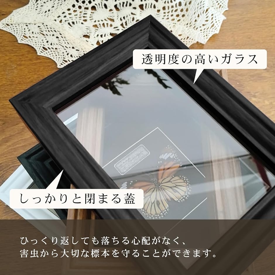 標本箱 シーラケース 蝶 小型 木製 (ブラック, 外寸15.5x15.5x3.8cm 内