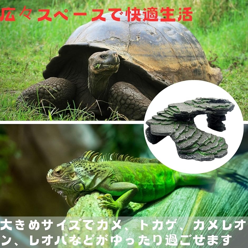 HOTQ シェルター 爬虫類 洞窟 階段 テラ...の詳細画像2