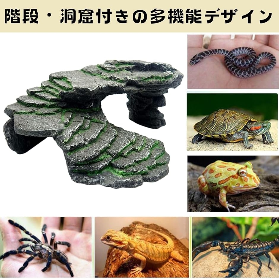 HOTQ シェルター 爬虫類 洞窟 階段 テラ...の詳細画像3