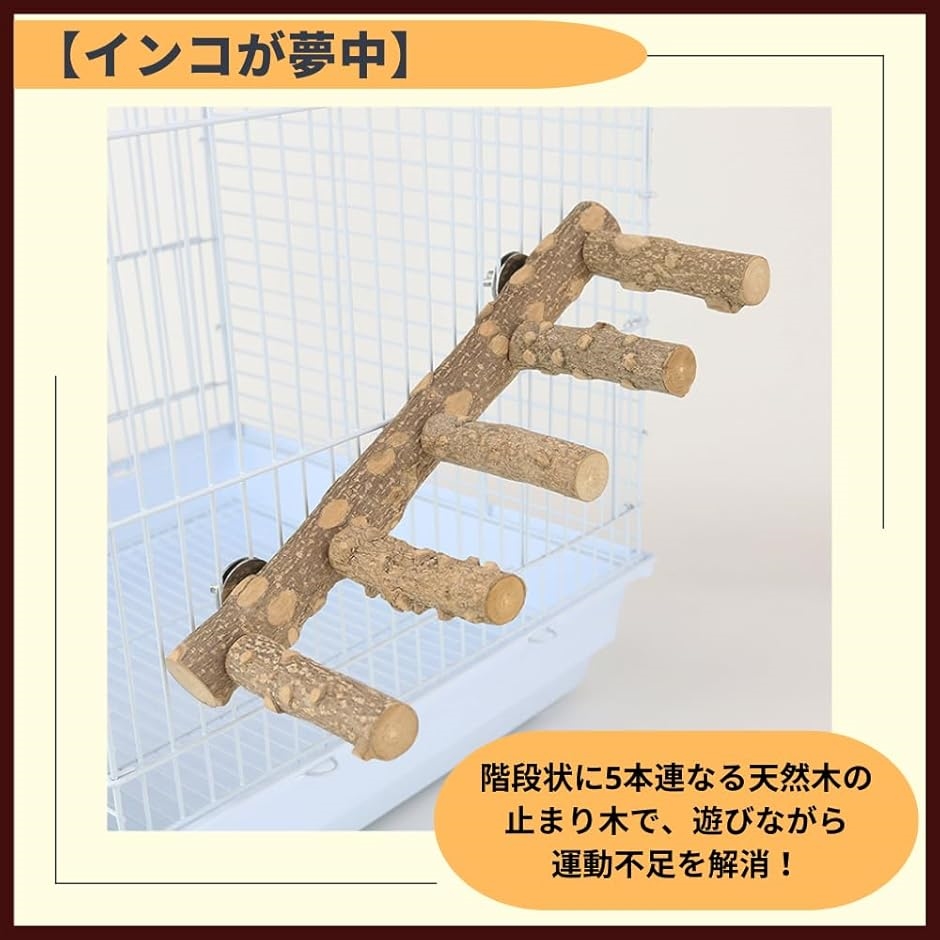 g5 止まり木 Tパーチ ☆ スタンド バードトイ フォージングトイ色々