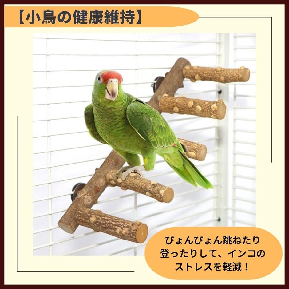 はな バードアスレチックジム ㊽ 天然木 自然木 止まり木 インコ