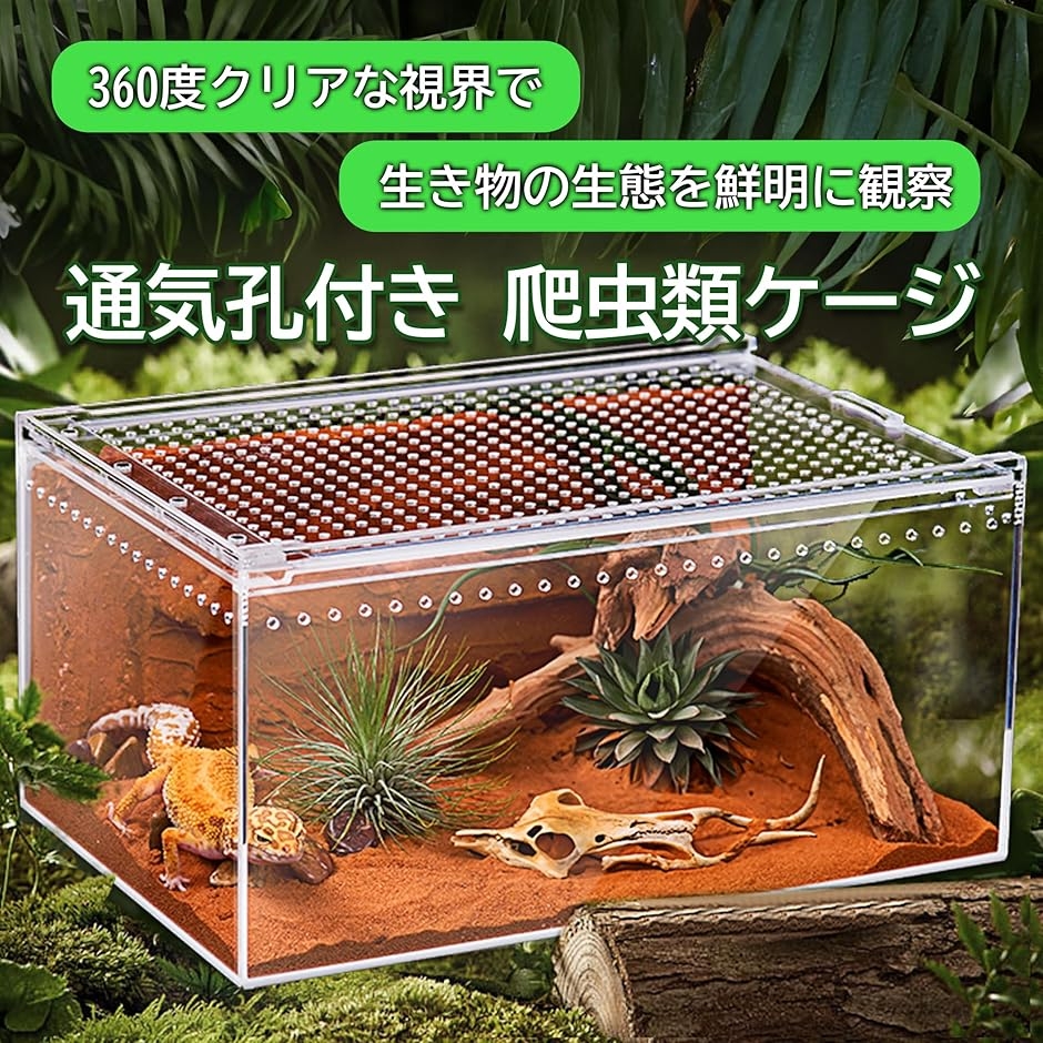 爬虫類ケージ アクリル製 シェルター トカゲ ...の詳細画像1