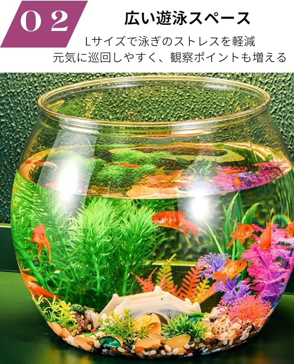 To all genie 金魚鉢 水槽 メダカ 容器 飼育 アクリル プラスチック