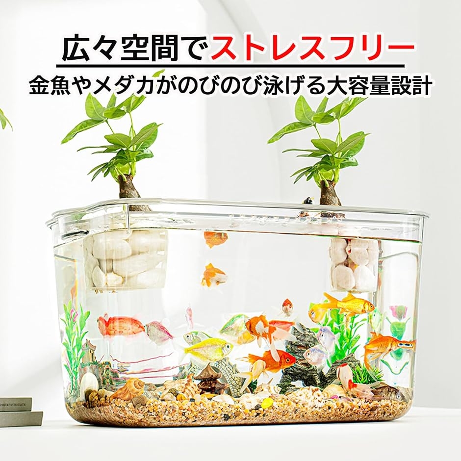 バリ島流木ガラス　w26×d18×h11cm 水槽　アクアリウムメダカ水槽805 バリ島流木ガラス w26×d18×h11cm 水槽 アクアリウムメダカ水槽805 バリ島