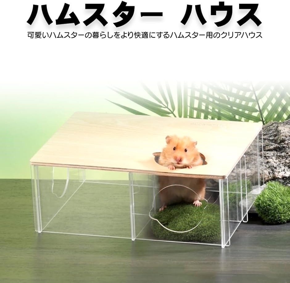 ハムスター ハウス 大きい 覗ける 透明(クリア, 長さ28.2cm、幅