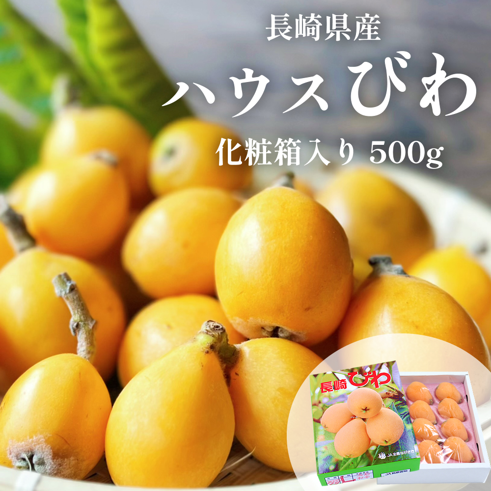 びわ,枇杷,ビワ,長崎県産,甘い,新鮮,お中元,御中元,お取り寄せ,送料無料,九州,ギフト,夏