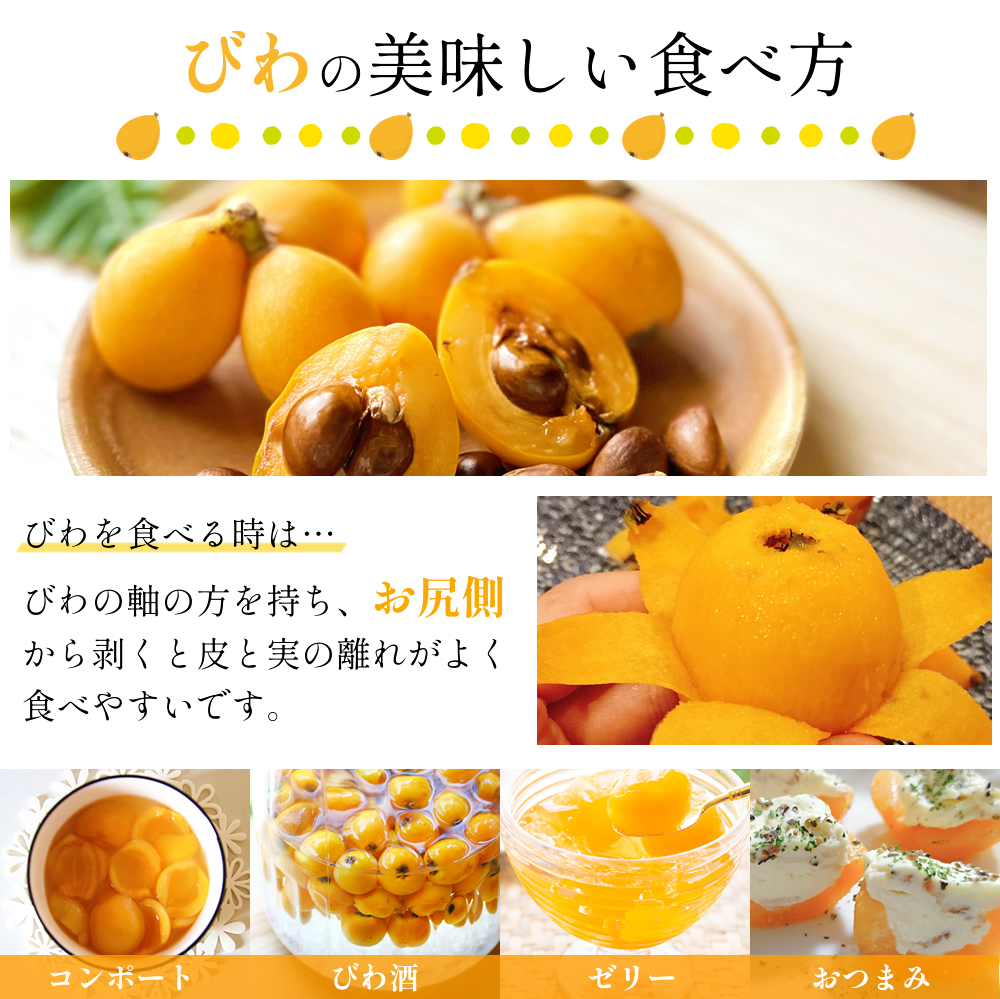 びわ,枇杷,ビワ,長崎県産,甘い,新鮮,お中元,御中元,お取り寄せ,送料無料,九州,ギフト,夏