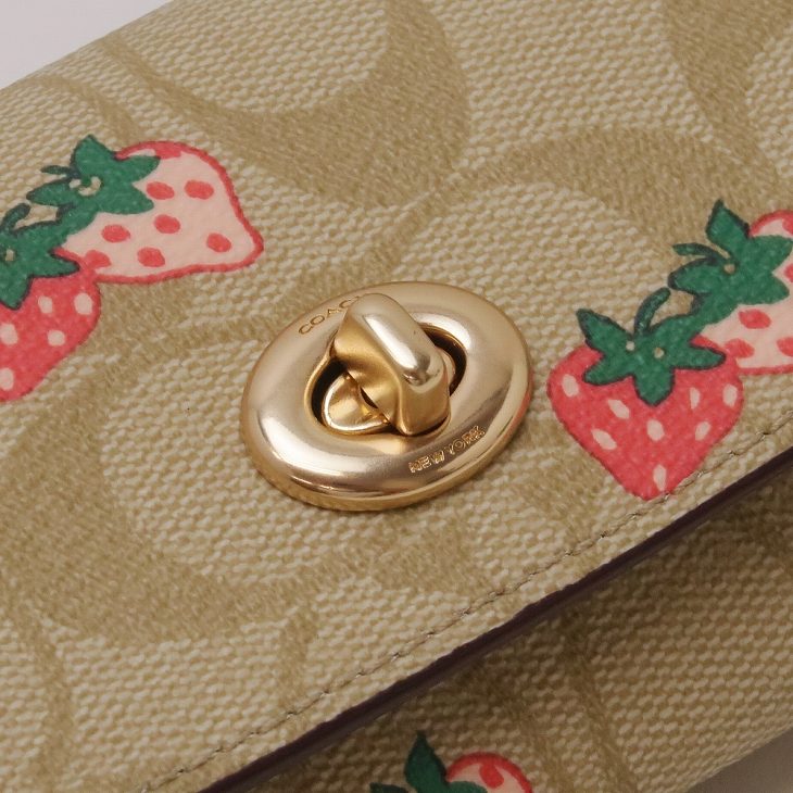 COACH コーチ サングラスケース レディース 眼鏡ケース アイ