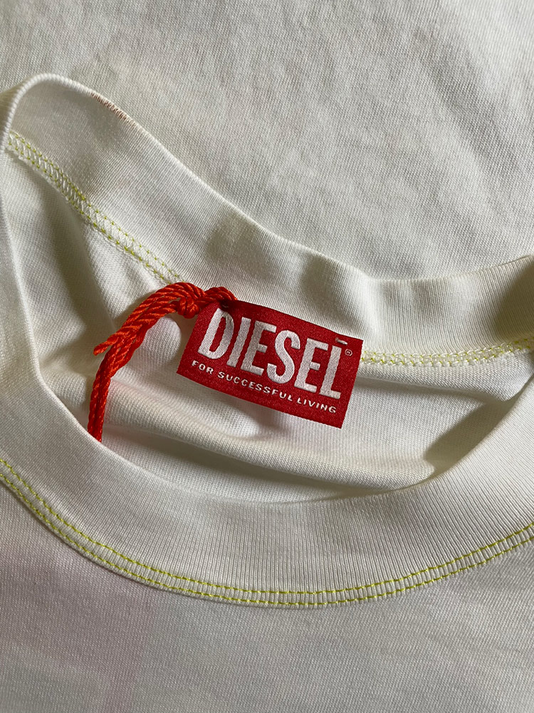 DIESEL（ディーゼル） サイドロゴ バックアップルプリント クルー