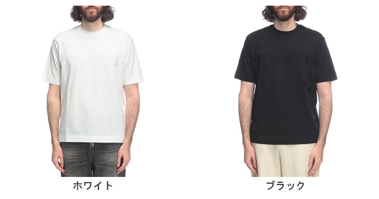 EMPORIO ARMANI エンポリオアルマーニ 半袖 Tシャツ メンズ BIG LOGO