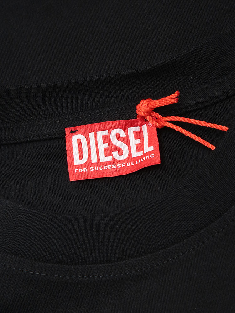 DIESEL（ディーゼル） ロンT メンズ ロゴ バックBOXロゴ プリント