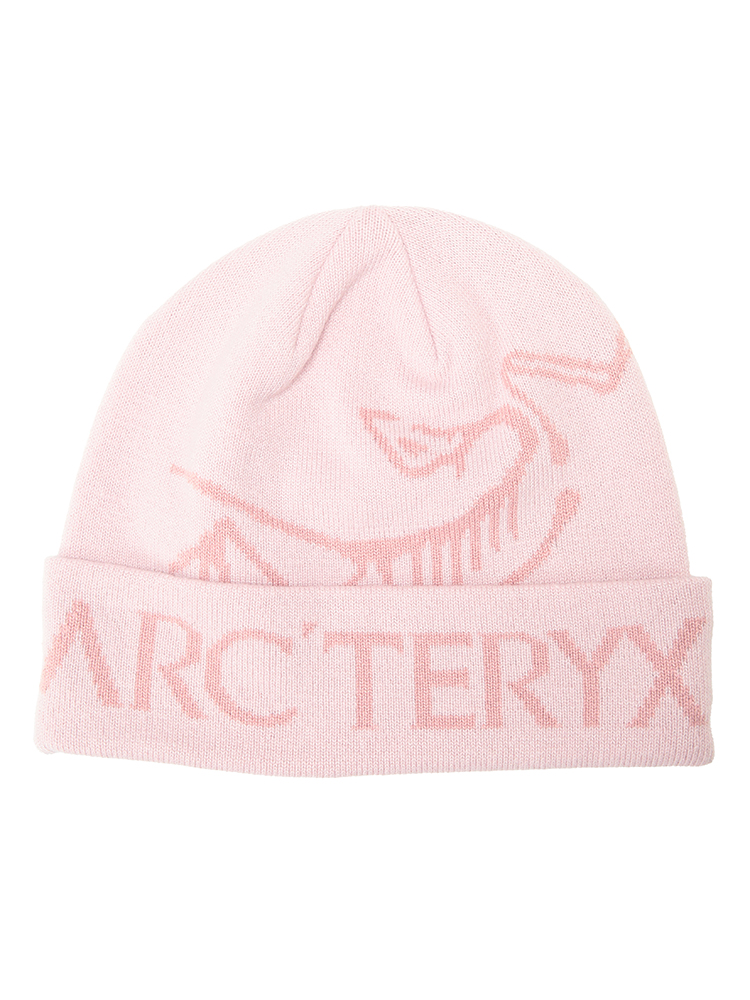 ARC'TERYX（アークテリクス） メンズ ニットキャップ ARC'TERYX BIG