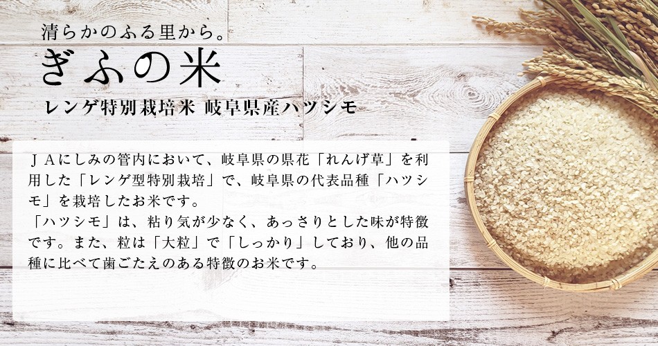 お買い得定番 米 令和3年産 お米 レンゲ特別栽培米 20kg 岐阜ハツシモ