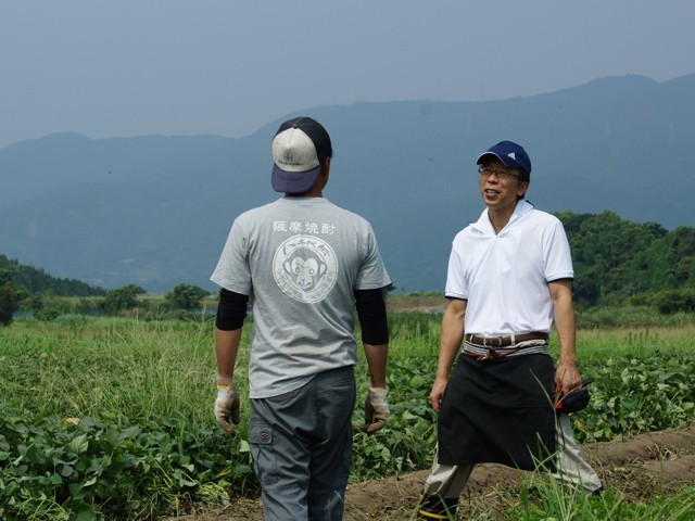 八千代伝酒造　上野台地芋畑