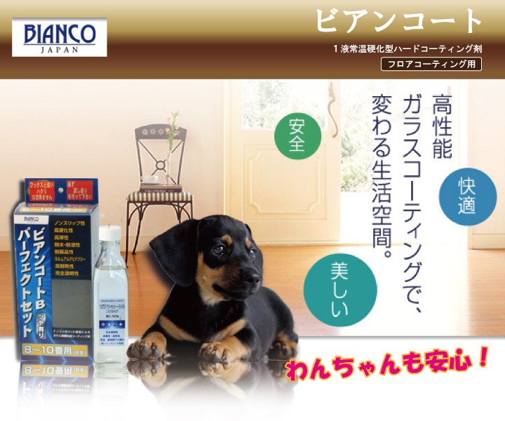 ビアンコートＢ　艶あり（300ml/ガラス容器）+塗布用スポンジ　１液常温硬化型ハードコーティング剤