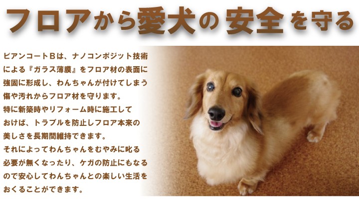 ビアンコートＢは、ナノコンポジット技術による『ガラス薄膜』をフロア材の表面に強固に形成し、わんちゃんが付けてしまう傷や汚れからフロア材を守ります。特に新築時やリフォーム時に施工しておけば、トラブルを防止しフロア本来の美しさを長期間維持できます。それによってわんちゃんをむやみに叱る必要が無くなったり、ケガの防止にもなるので安心してわんちゃんとの楽しい生活をおくることができます。