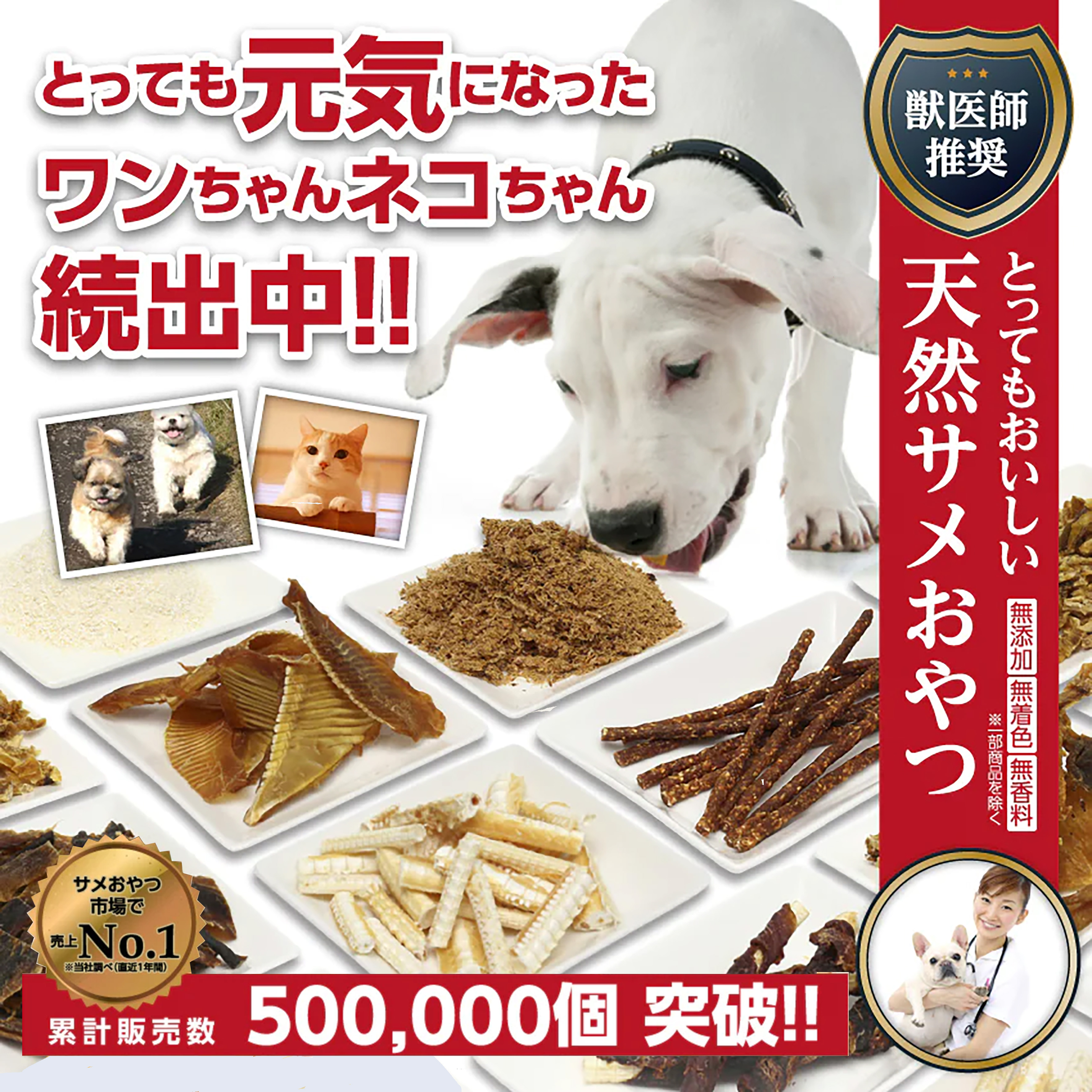 サメのちからをおいしく摂取！毎日食べて効果を実感。