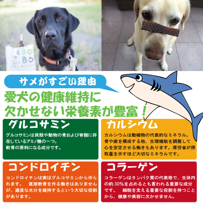 愛犬の健康維持に欠かせない栄養素が豊富！