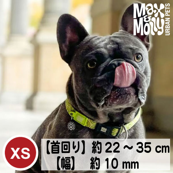 犬＋キーウィ おまとめ 在庫限り 犬 首輪 デジタル迷子札付き Max&Molly オリジナルギア