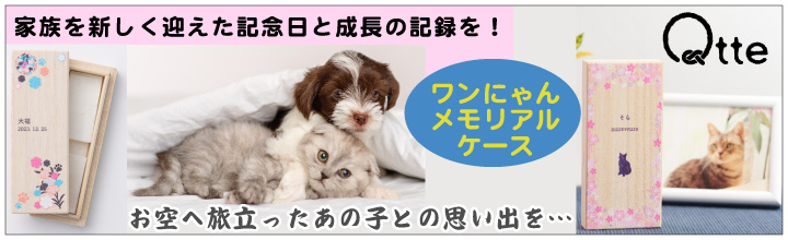 Zenpets - Yahoo!ショッピング