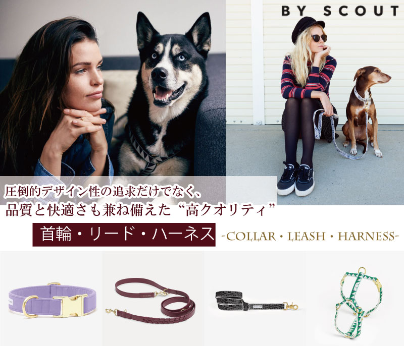 SeeScoutSleep