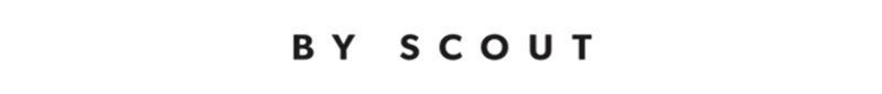 SeeScoutSleep