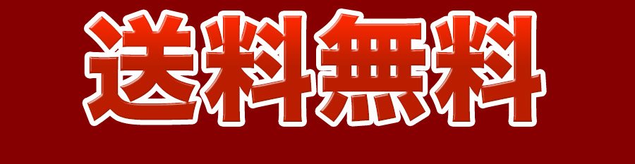 送料無料