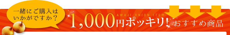 1,000円ポッキリおすすめ商品