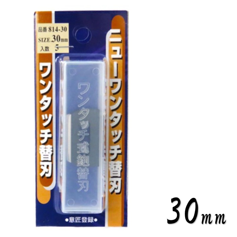 晩悠 鉋 箱入り 寸八 碓氷健吾氏作【越後与板打刃物 青紙 スーパー 鋼