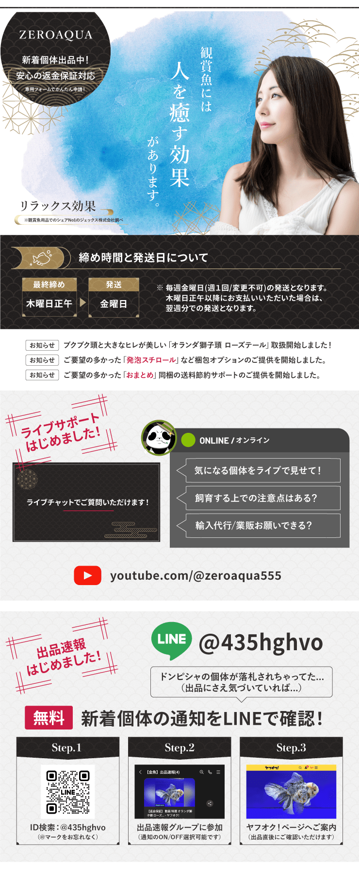 【返金保証】 動画 オランダ獅子頭 ローズテール (k1864) タイ産 特大個体 18cm 東錦 オス 7ヵ月 #金魚 オランダ獅子頭 ローズテール k1864