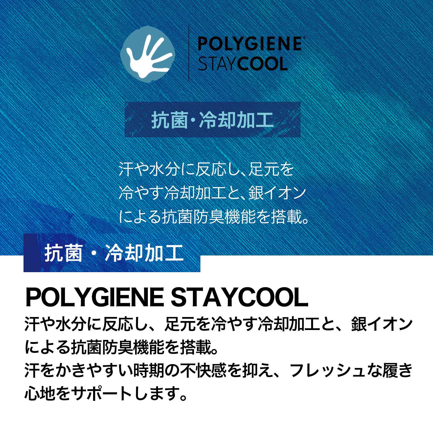 ドライエアソックス