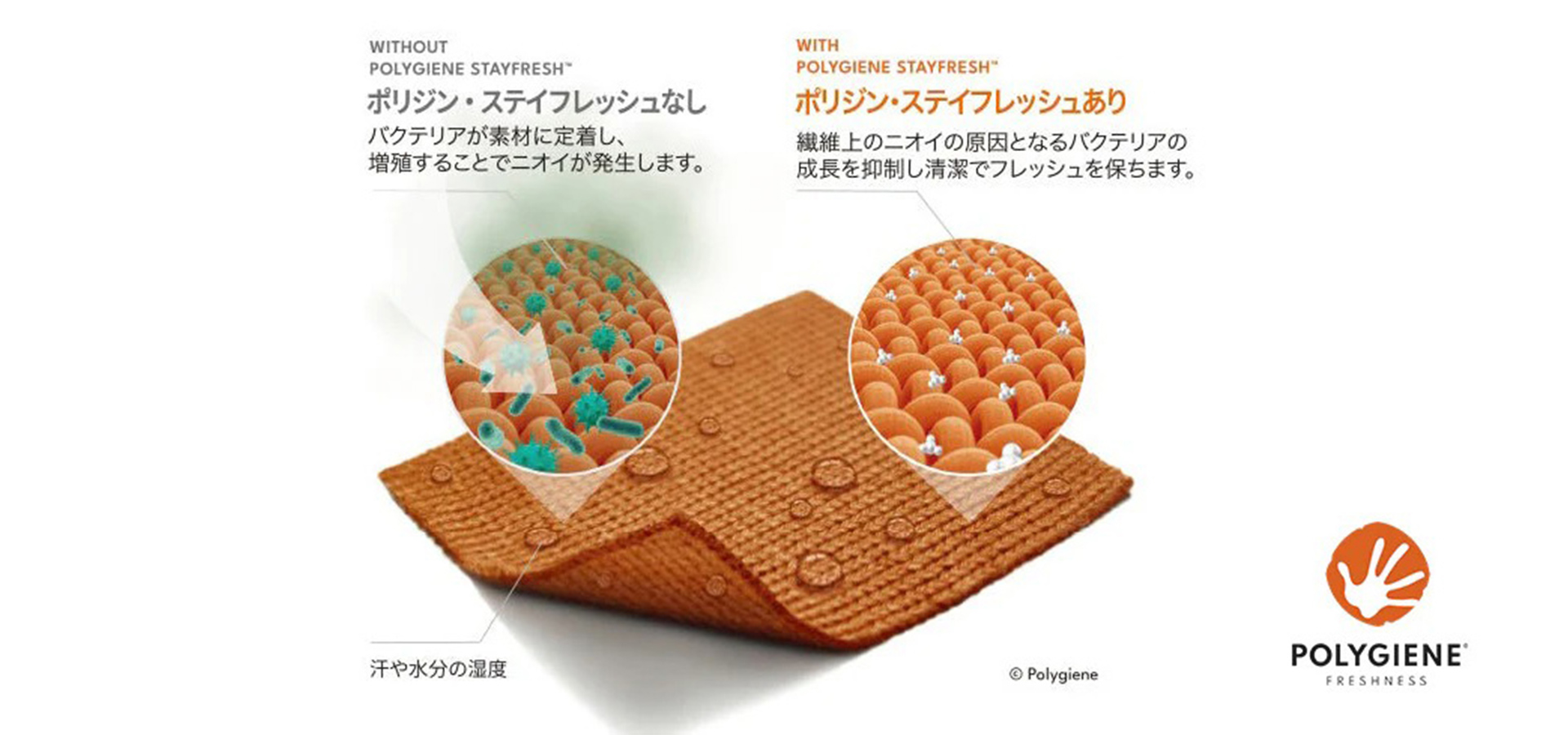 最先端の抗菌防臭テクノロジー